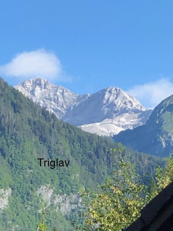 Apartment In The Heart Of Nature Bohinj Ngoại thất bức ảnh