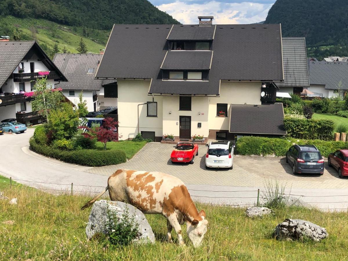 Apartment In The Heart Of Nature Bohinj Ngoại thất bức ảnh